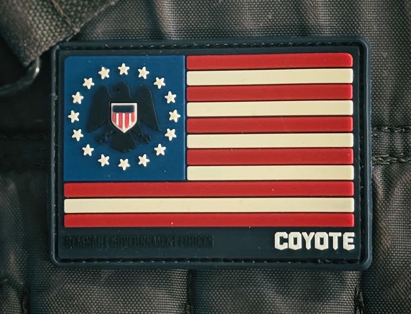 Remnant Government Forces